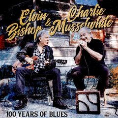 100 Years Of Blues (CD)