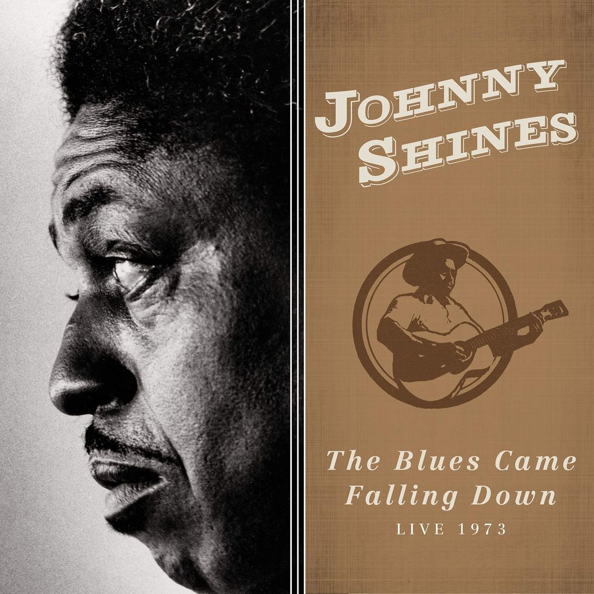 The Blues Came Falling Down: Live 1973 (CD)