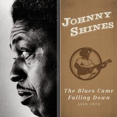 The Blues Came Falling Down: Live 1973 (CD)
