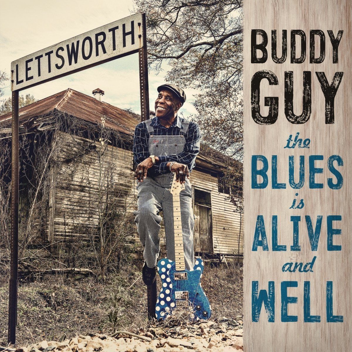 The Blues Is Alive & Well (LP)