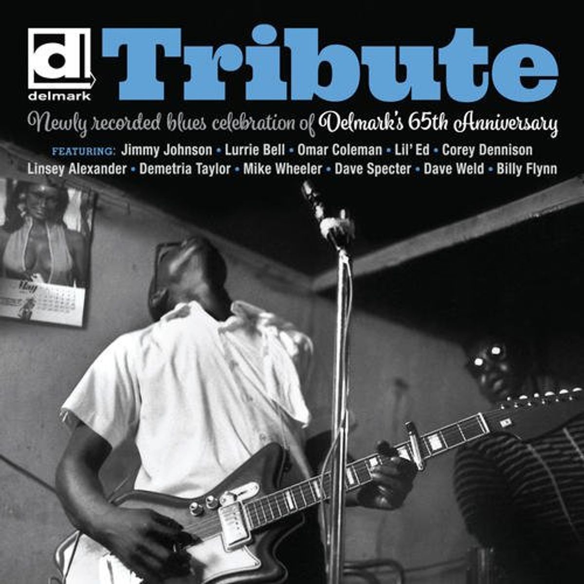 Tribute: Delmarks 65th Anniversary (LP)