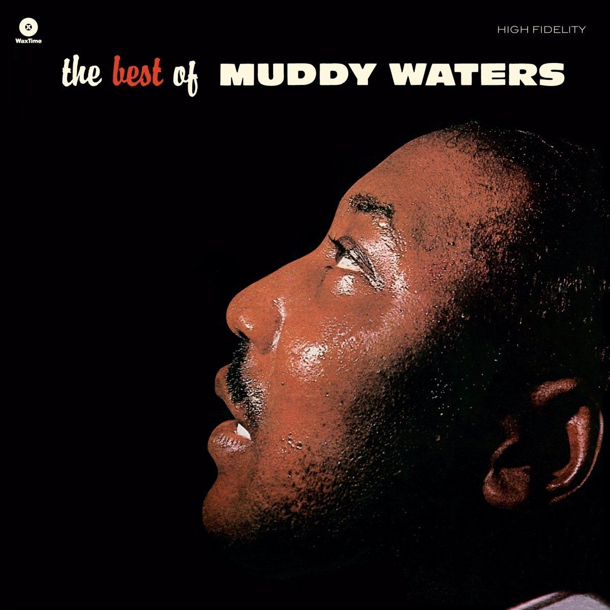 The Best Of Muddy Waters [180 Gram Vinyl] (LP)