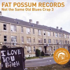 Not The Same Old Blues Crap 3 (LP)