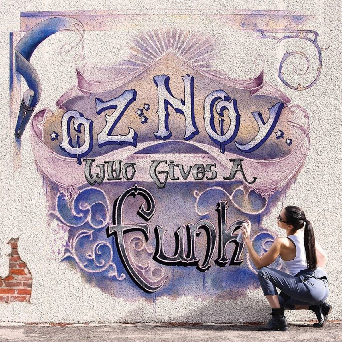 Who Gives A Funk (CD)