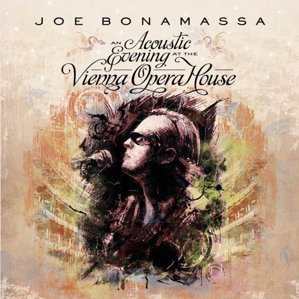 An Acoustic Evening At The Vienna Opera House (LP)