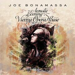 An Acoustic Evening At The Vienna Opera House (LP)