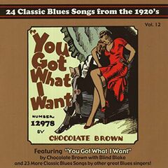You Got What I Want: 24 Classic Blues Songs From The 1920's, Vol. 12 (CD)