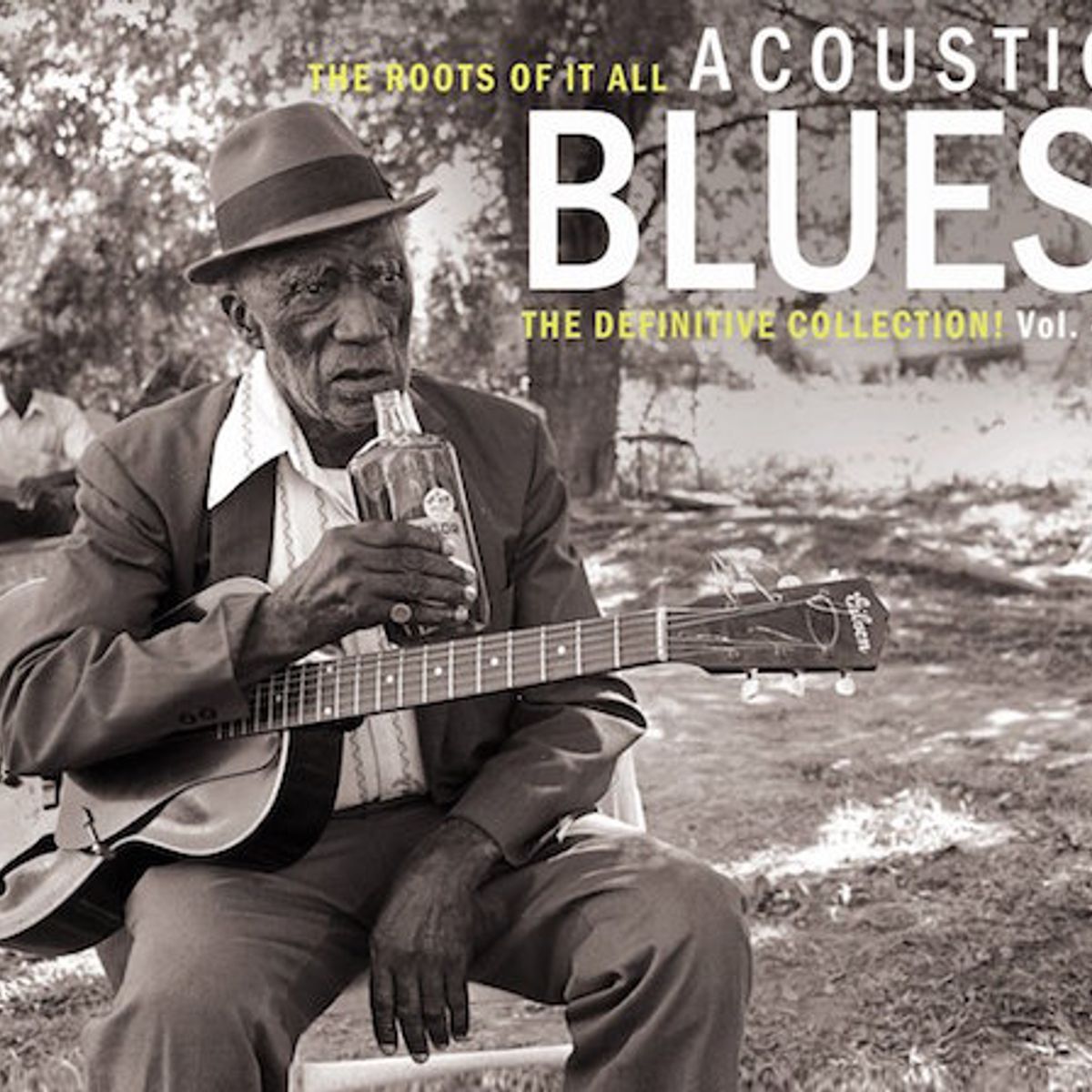 Acoustic Blues - The Definitive Collection Vol. 4 (CD)