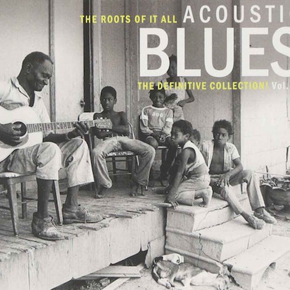Acoustic Blues - The Definitive Collection Vol. 2 (CD)