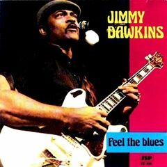 Feel The Blues (CD)