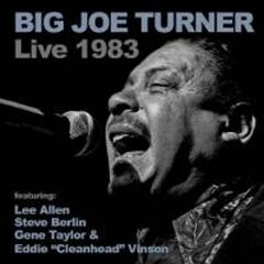 Big Joe Turner Live 1983 (CD)