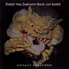 Barbed Wire Sandwich