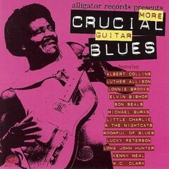 More Crucial Guitar Blues (CD)