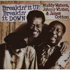 Breakin' It Up Breakin' It Down (CD)
