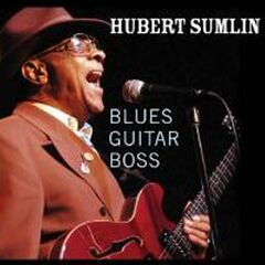 Blues Guitar Boss (CD)