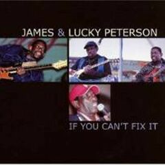 If You Can't Fix It (CD)