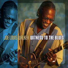 Witness To The Blues (CD)