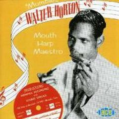 Mouth Harp Maestro (CD)