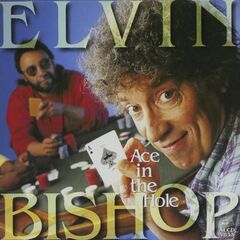 Ace In The Hole (CD)