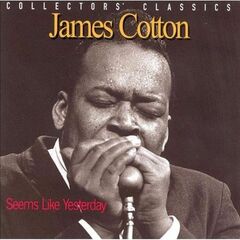 Seems Like Yesterday: Collectors Classics