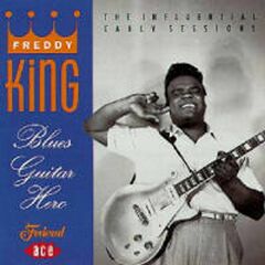 Blues Guitar Hero (CD)