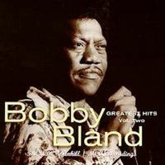 Greatest Hits Vol. 2 (CD)
