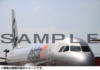 Cheap Airplane Using Guide 2013-2014 (BOOK)