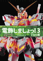 Mokei Denshoku Programming & Kousaku Guide Denshoku Shimasho! 3 Tips Ver. (BOOK)