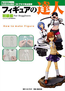 Master Of Figure -Beginner- (BOOK)