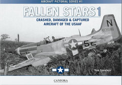 Fallen Stars 1 US Army Air Corps (BOOK)