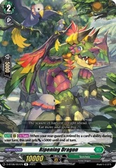 Ripening Dragon - D-BT08/051EN - R