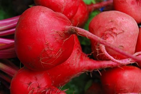 Beet Chioggia