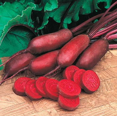 Beet Forono