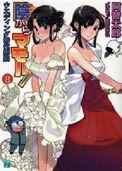 Kage Kara Mamoru! (8) (BOOK)