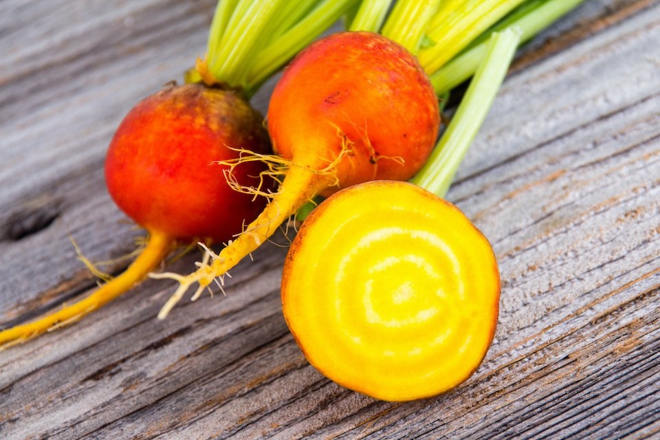 Beet Golden