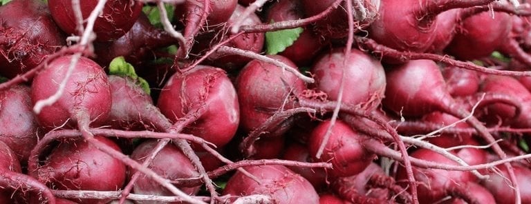 Beet Warrior