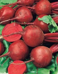 Beet Storuman Kogel 2