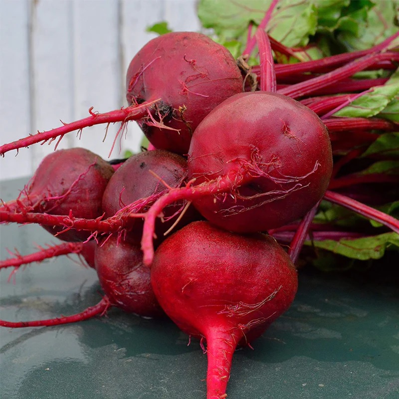 Beet Early Egyptian