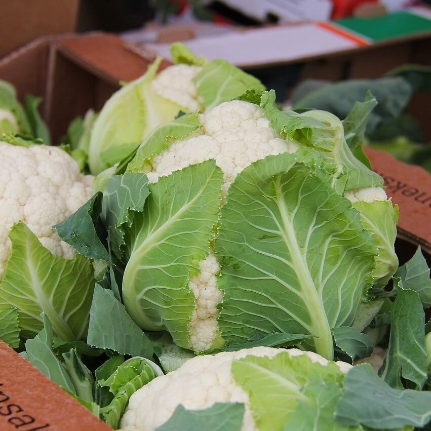 Cauliflower Snow White