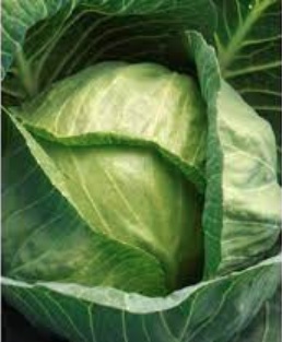 Cabbage Bandung