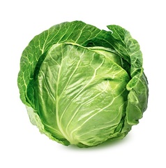 Cabbage 'Green'