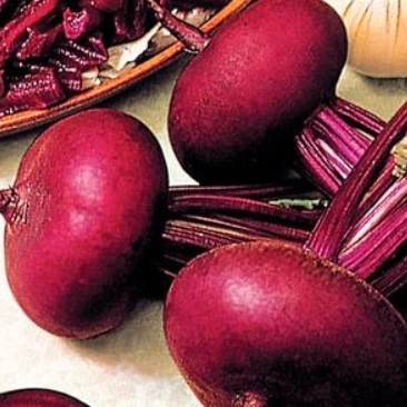 Beet Egyptian Flat TF 68