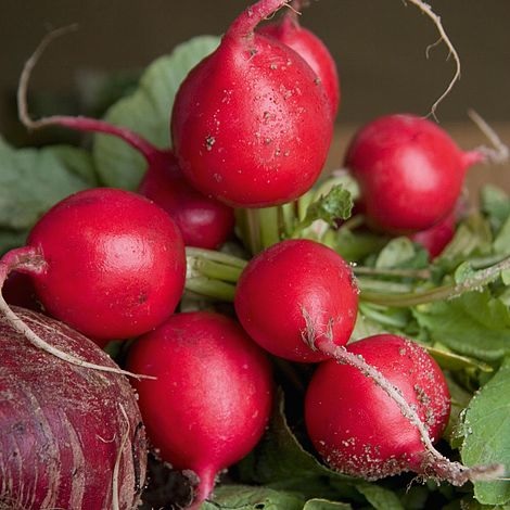 Beet Rougette