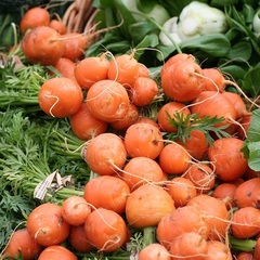Carrot 'Tonda di Parigi'