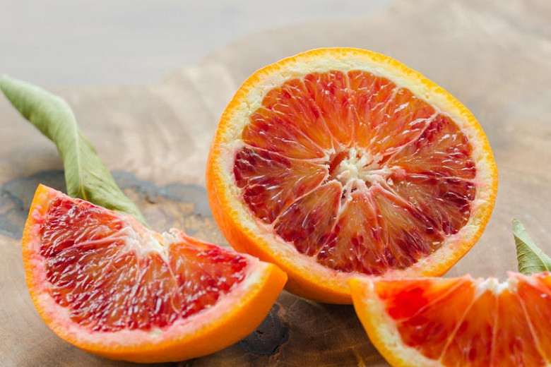 Citrus, Blood Orange Moro