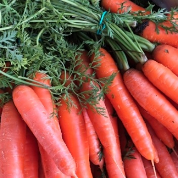 Carrot Cubic