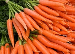 Carrot 'Nantes Chioggia'