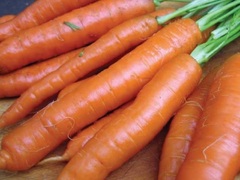 Carrot 'Rothild'