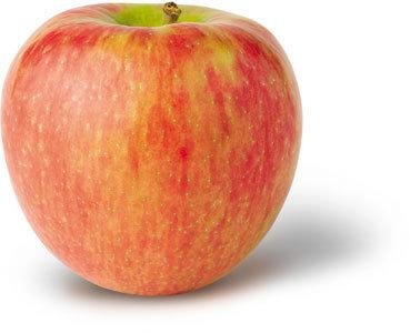 Apple Honeycrisp