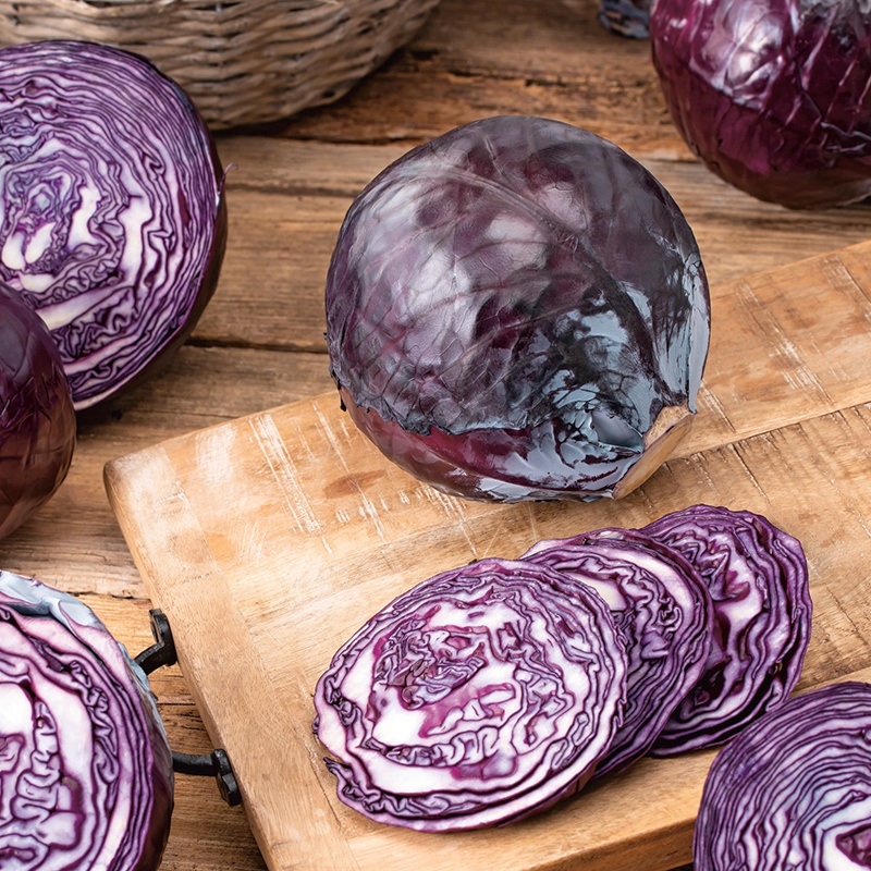 Cabbage, Red Red Flare